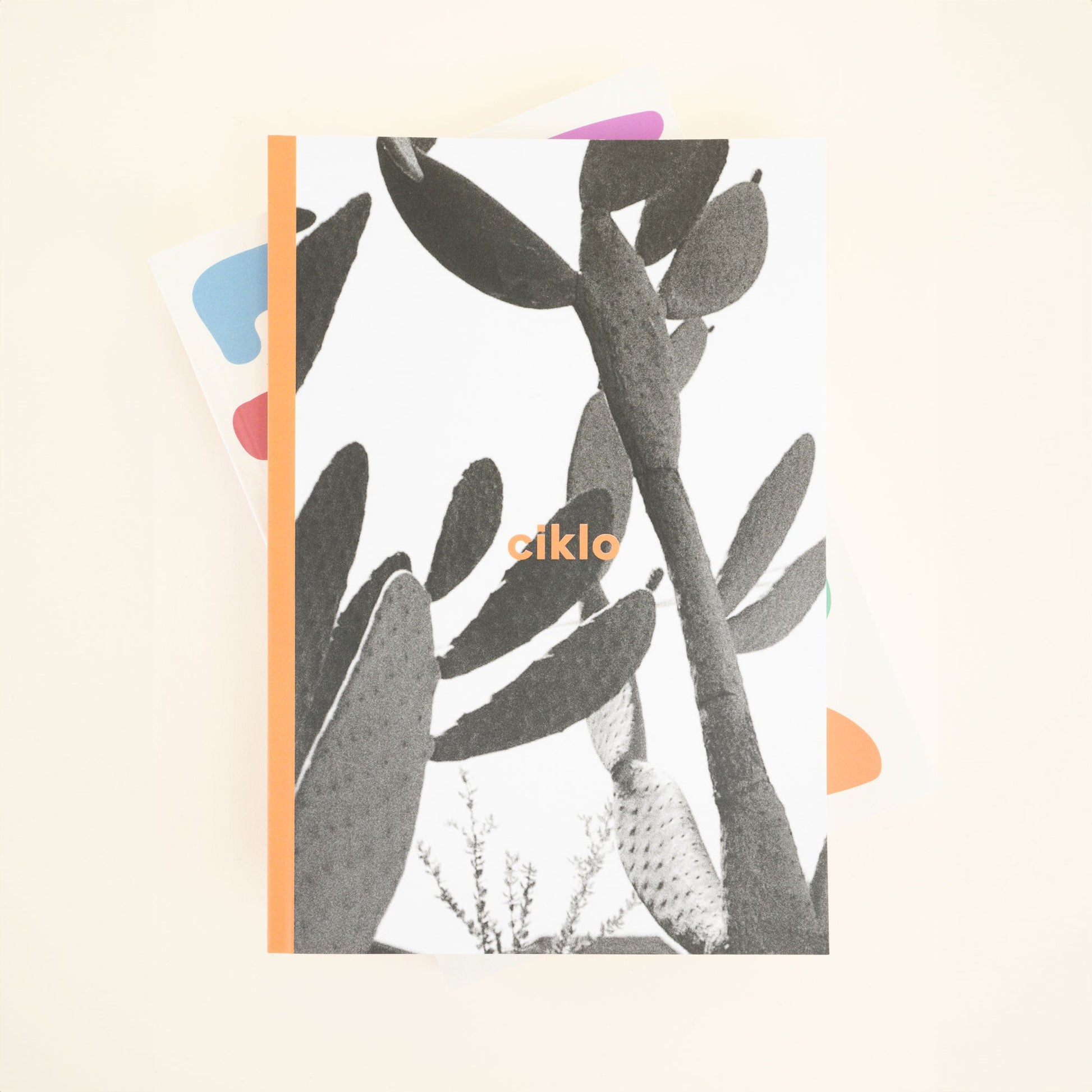 cahier de notes silver lake - CIKLO